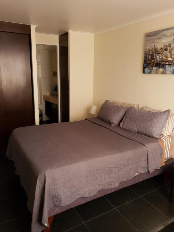 Апартаменты Departamento Con Terraza R&M Сантьяго Экстерьер фото